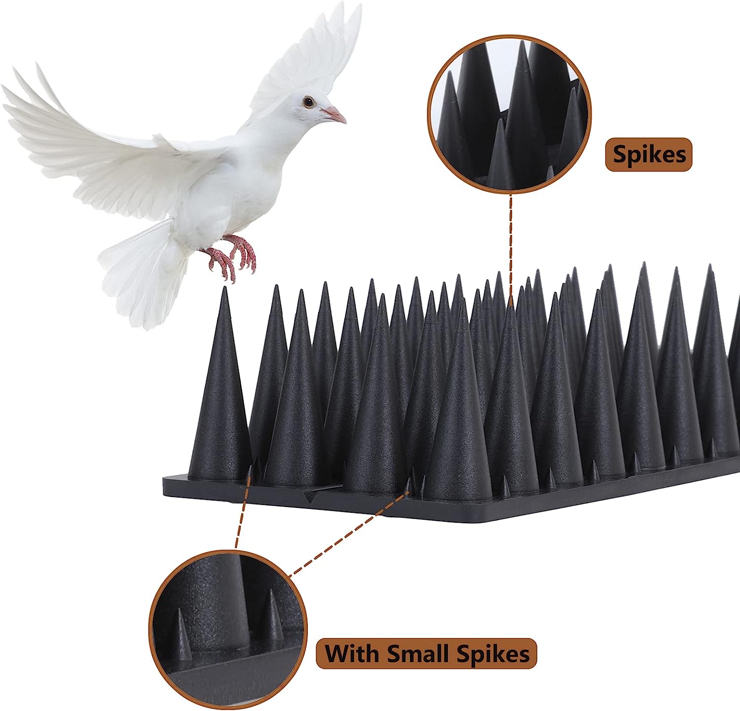 Bird Spikes