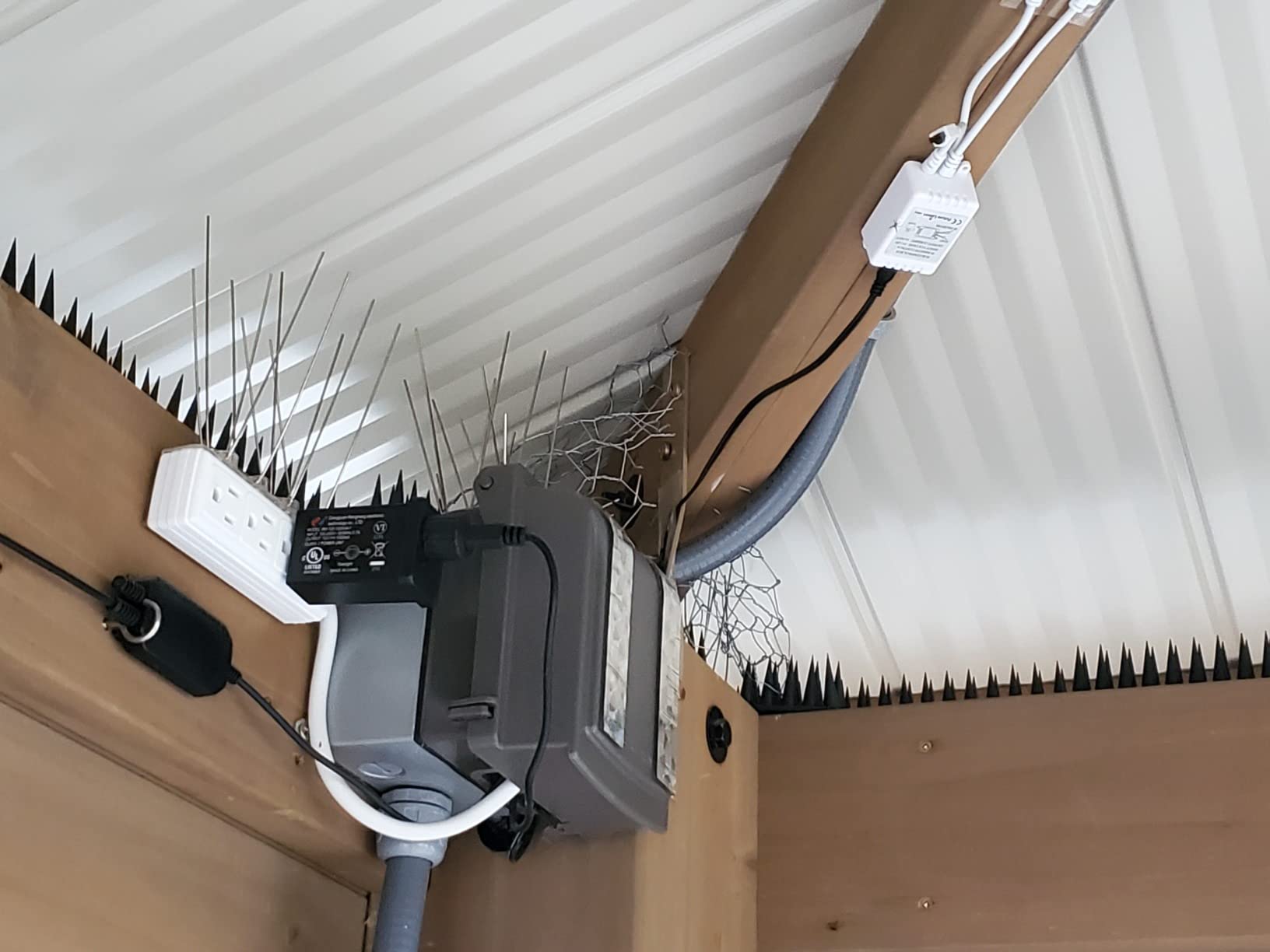 Bird Spikes