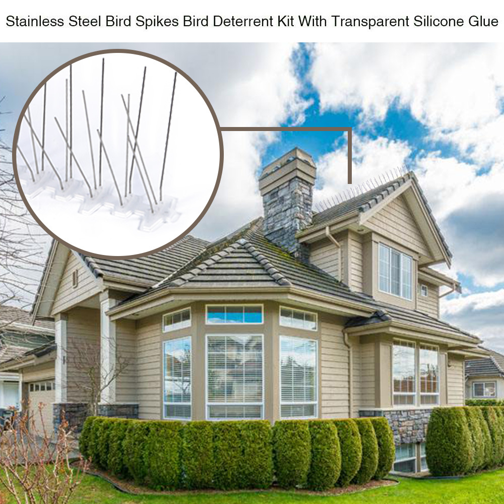 Bird Spikes