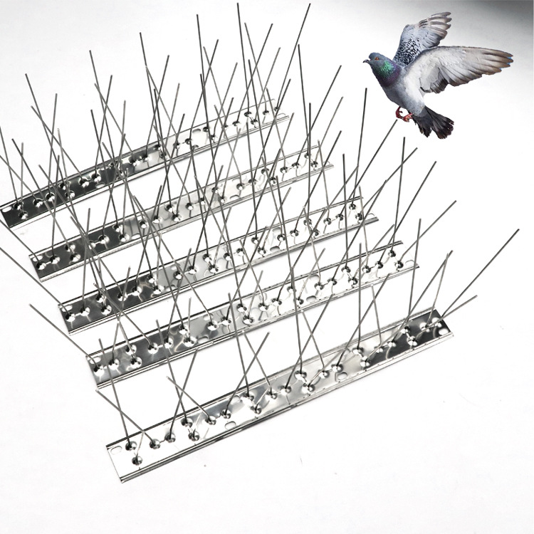 Bird Spikes for Pigeon Control