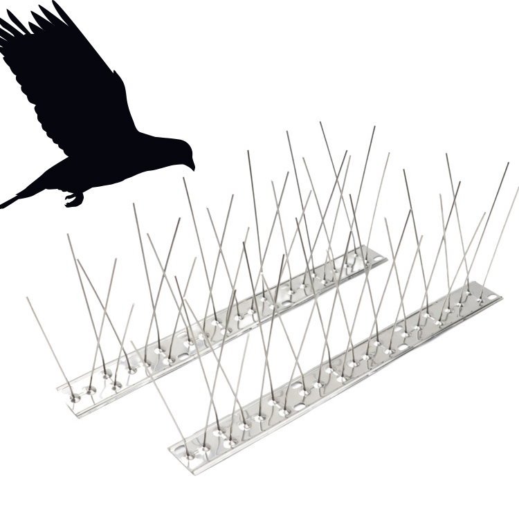 Bird Spikes