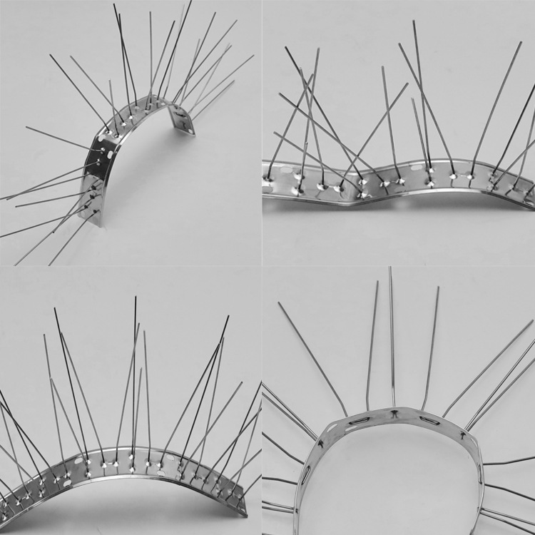 Bird Spikes