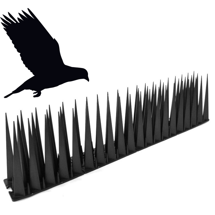 Bird and Pest Spikes
