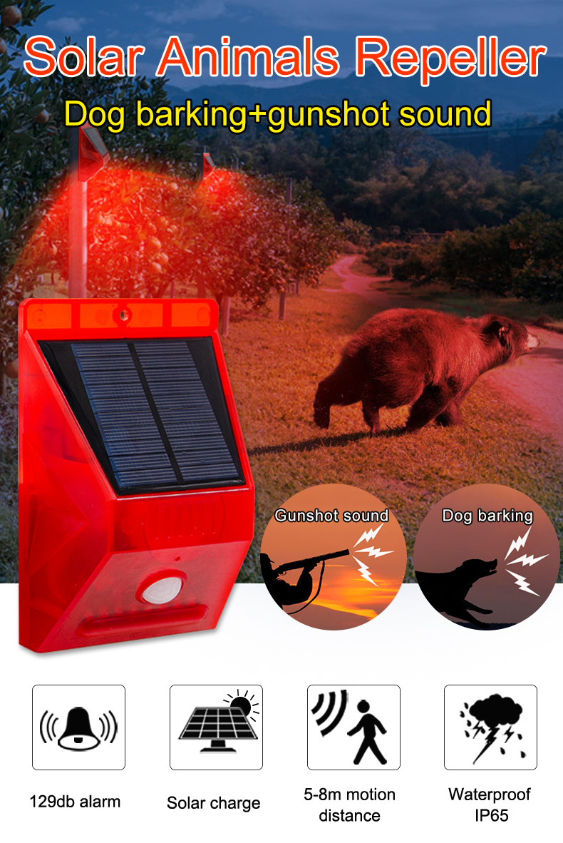 Solar powered wild animal alarm
