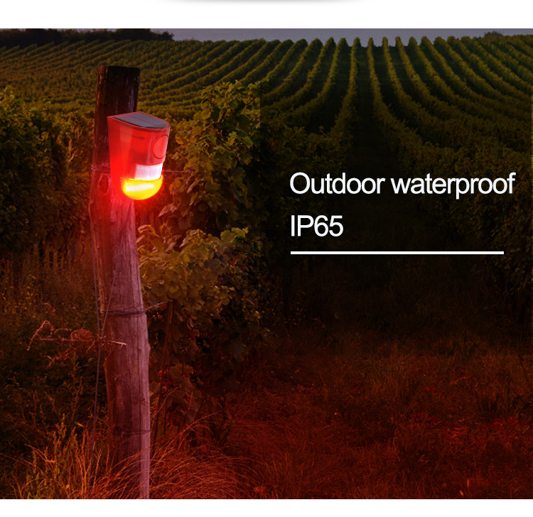 Solar-Powered Predator Deterrent Light