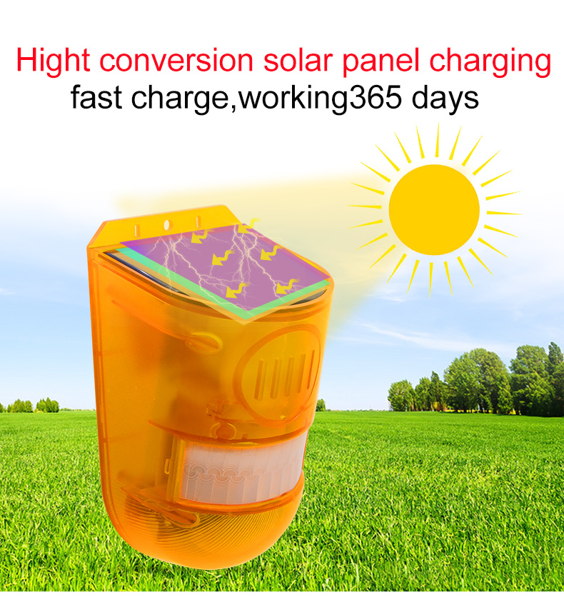 Solar PIR Alarm