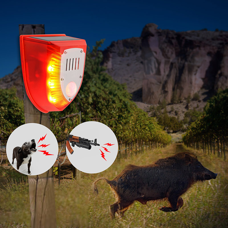 Solar Powered Outdoor Animal Repeller