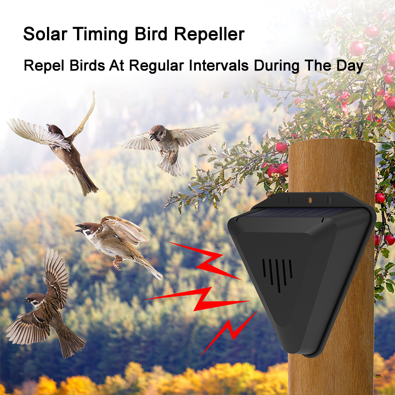 Solar Timing Bird Repeller