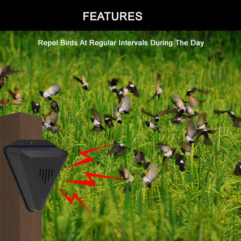 Solar Timing Bird Repeller