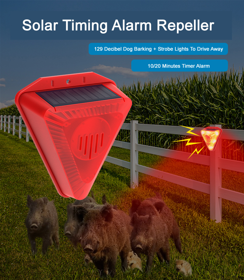 Solar Timing Alarm Repeller
