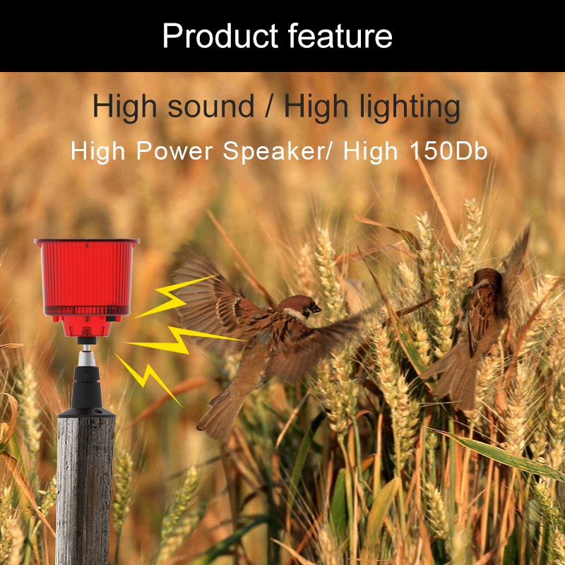 Solar Bird Animal Repeller