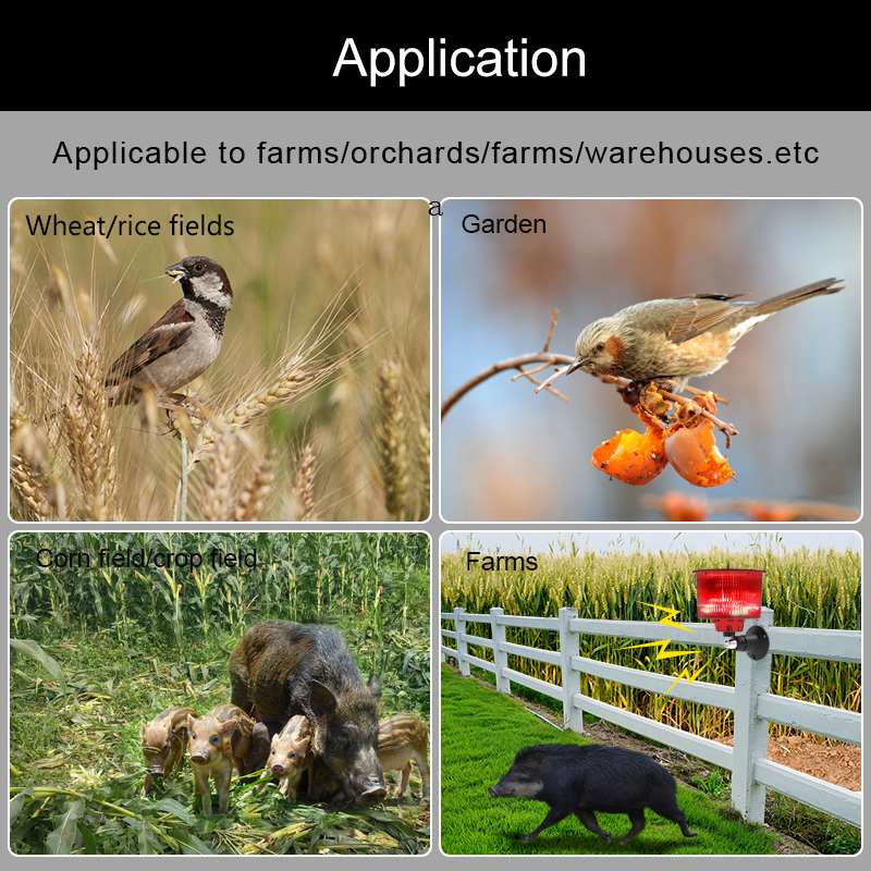Solar Bird Animal Repeller