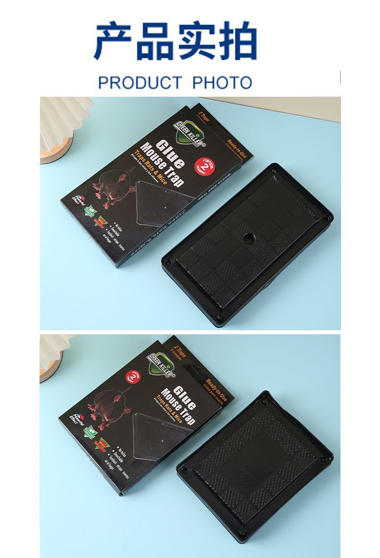 Glue Mouse Trap
