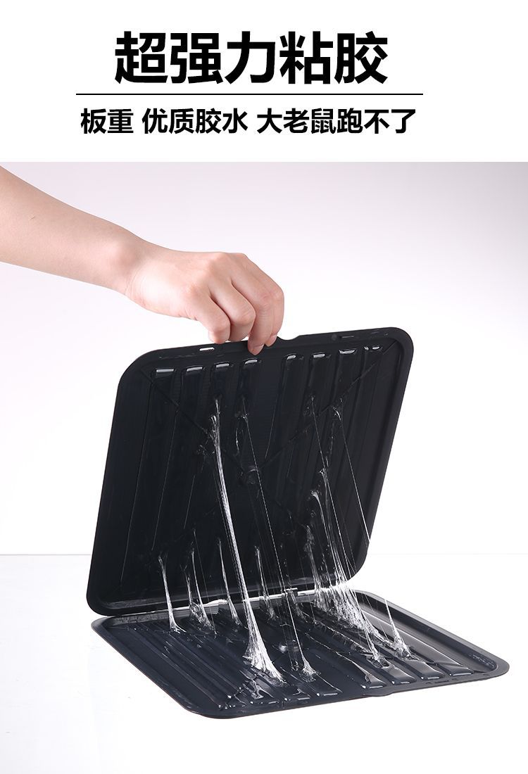 Mouse Glue Traps