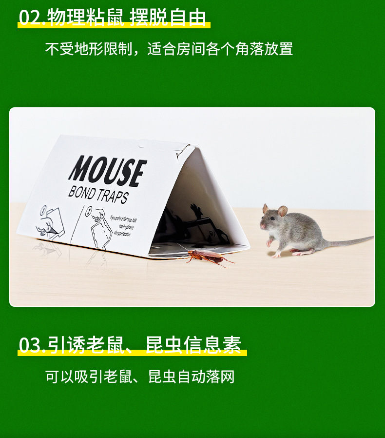 Rat Bond Traps