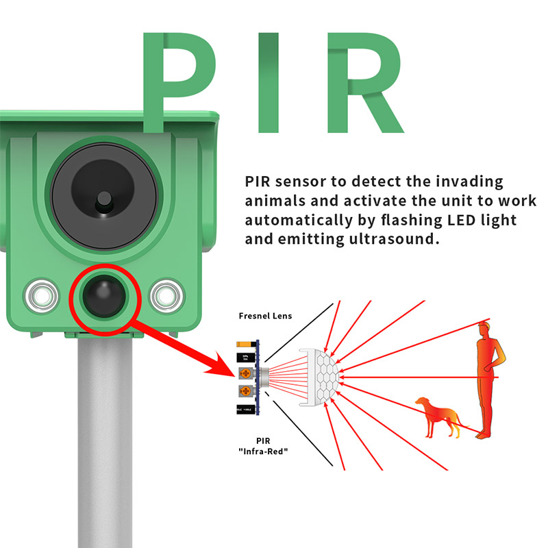 Solar-Powered Animal Repeller