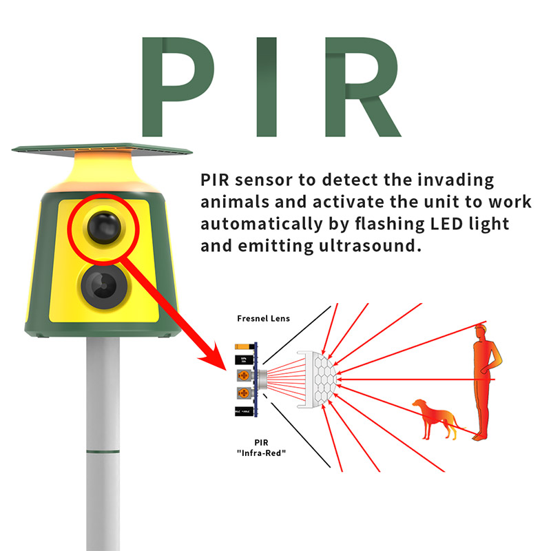 Solar Animal Repeller