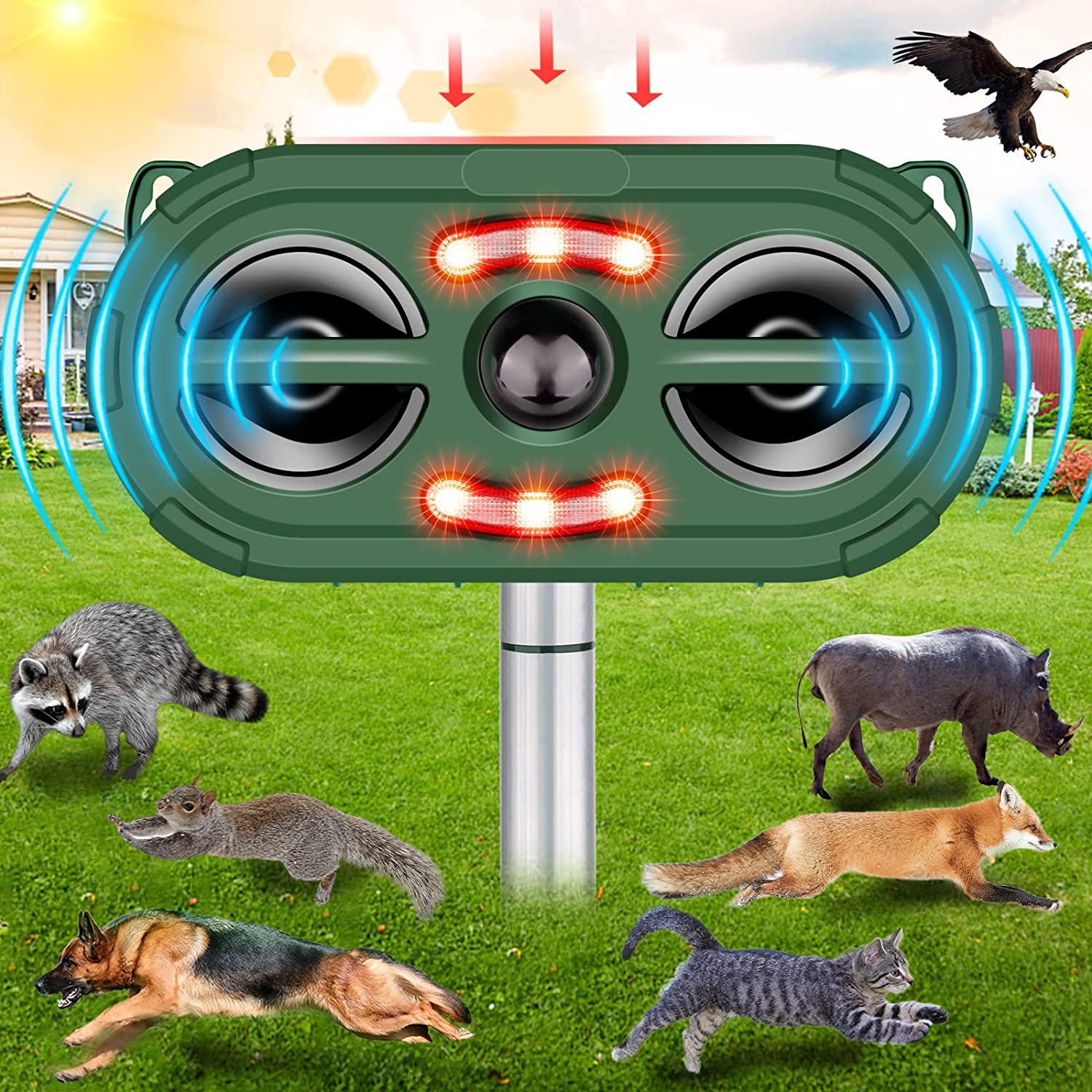 Solar-Powered Animal Repeller