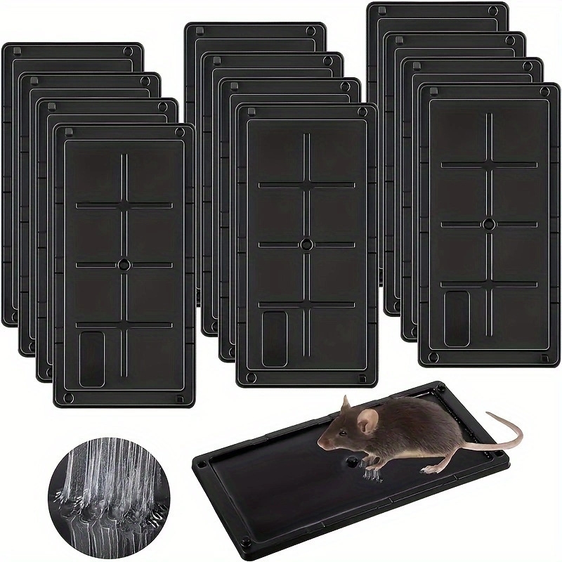 Rodent Glue Traps