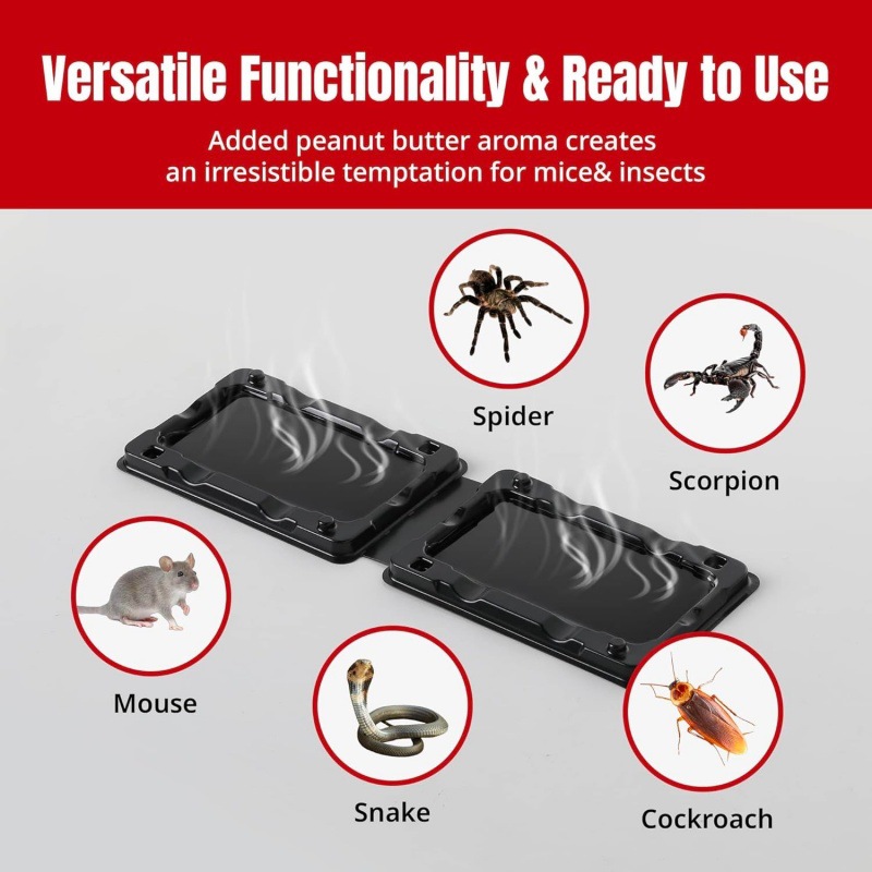 Rodent Glue Traps