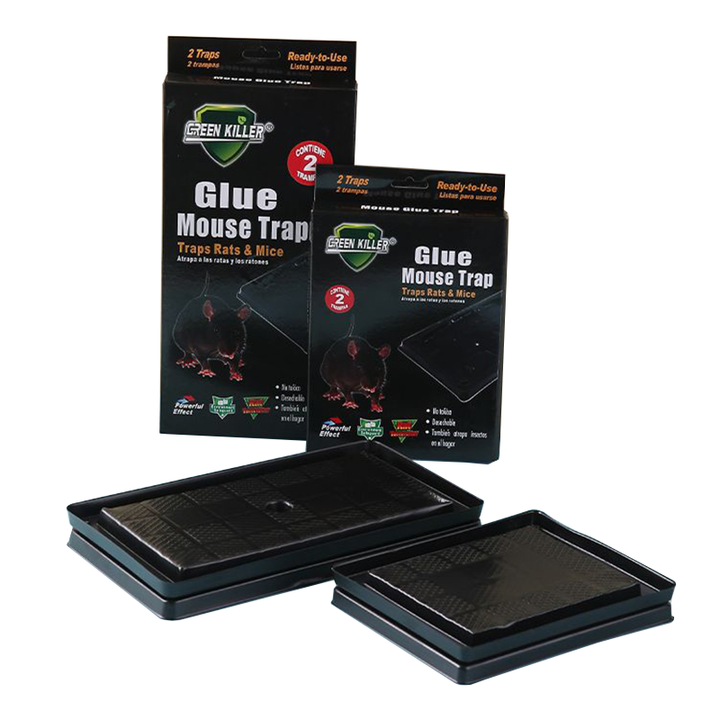 Glue Mouse Trap