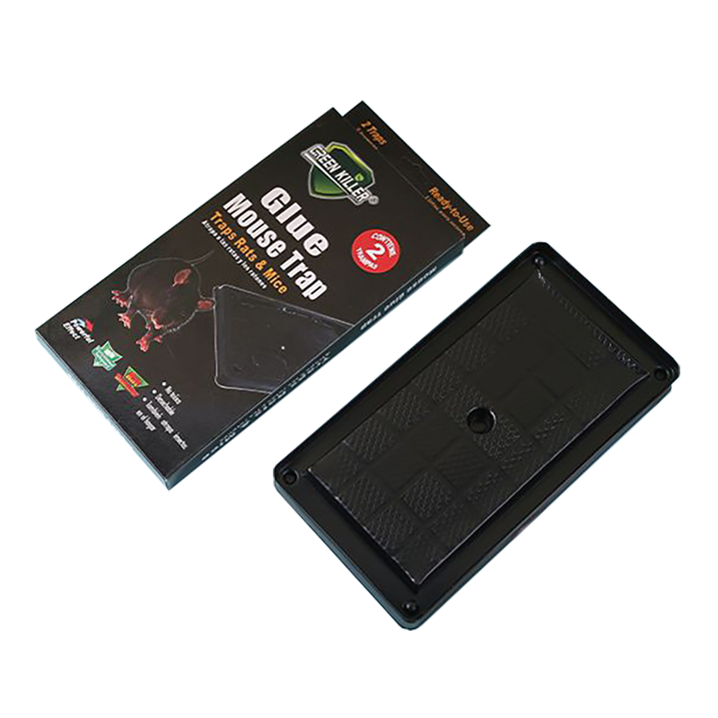 Glue Mouse Trap