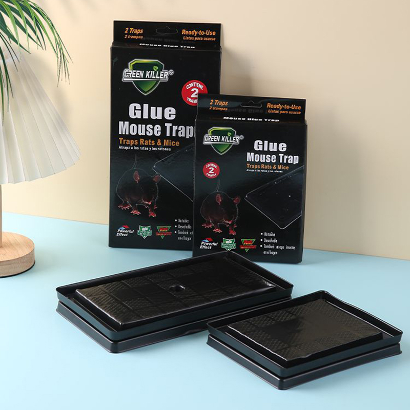 Glue Mouse Trap