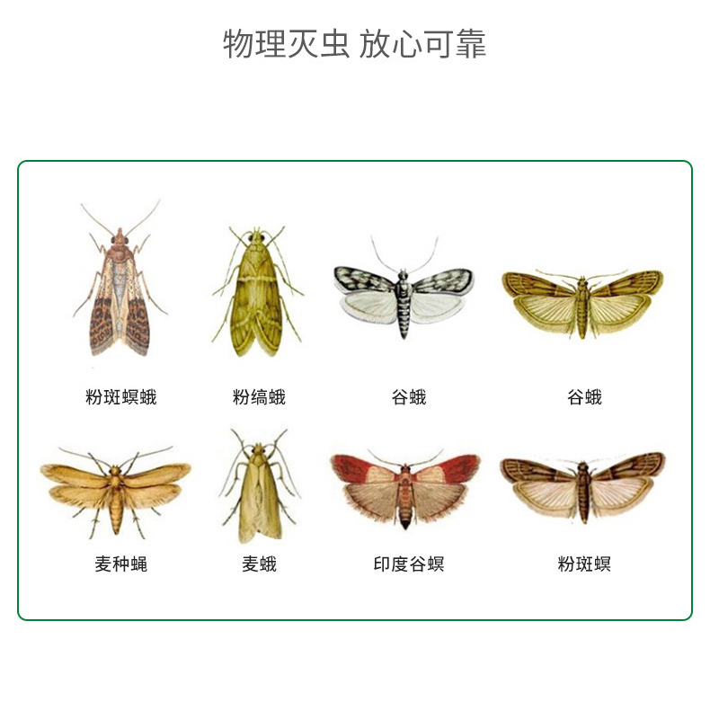 Moth Trap
