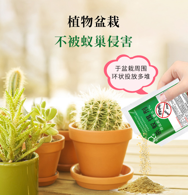 Ant Killer Powder