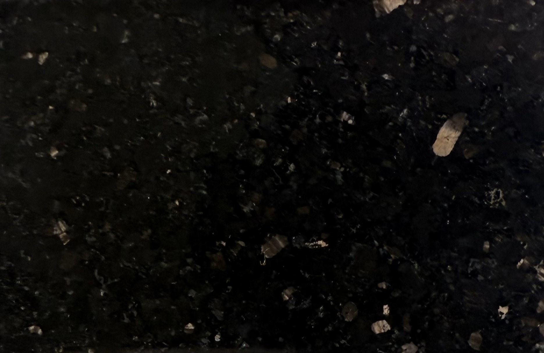 Black Galaxy