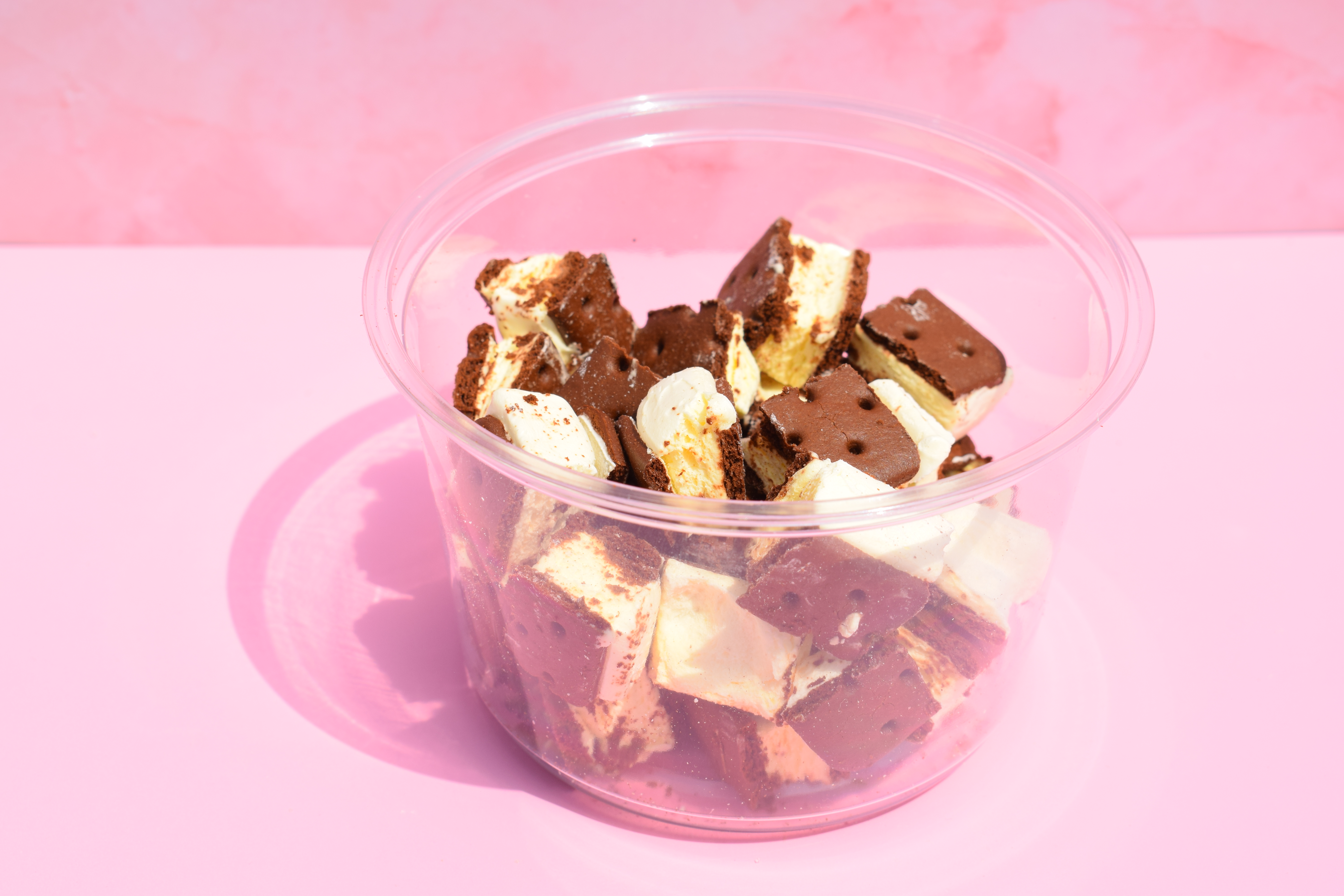 Freeze dried sandwich ice cream bites 