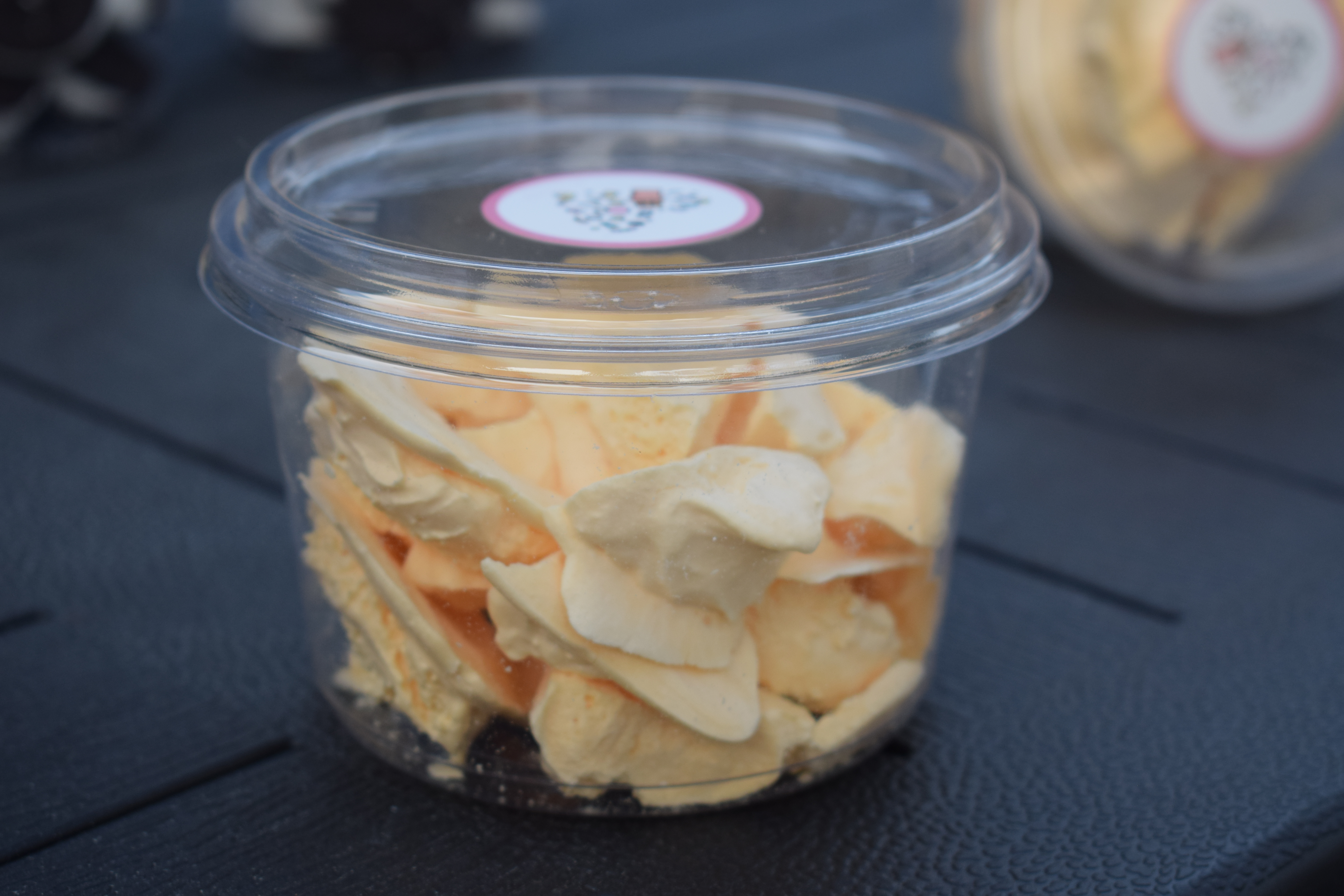 Freeze-Dried Vanilla Ice Cream - برد الفانيلا