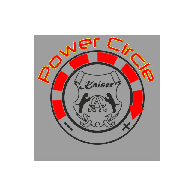 Table de cuisson à induction Avantgarde PRO 59 cm (gris)