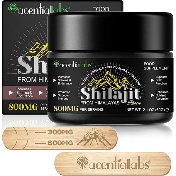 Shilajit raisin 