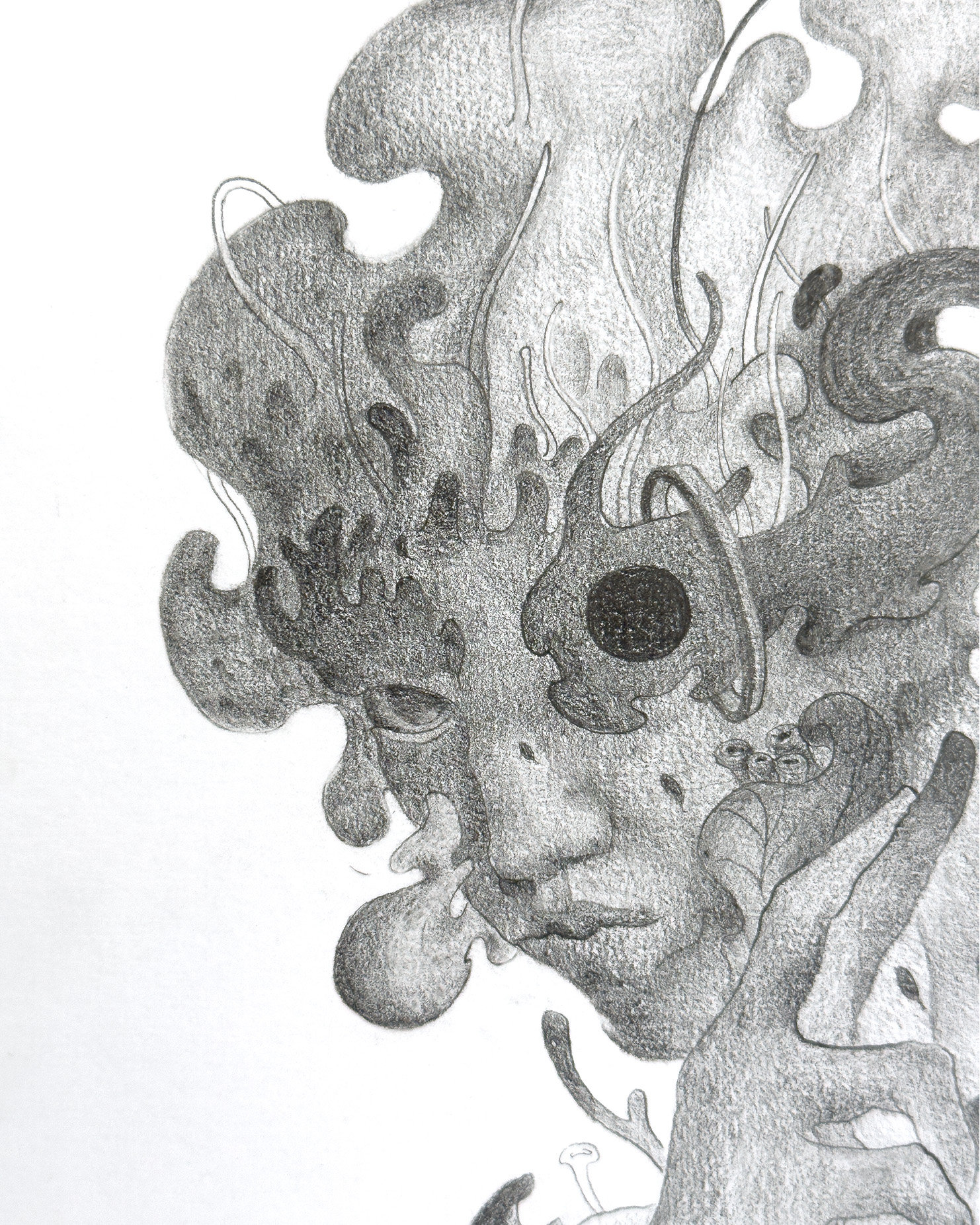 Cordyceps - Portrait II