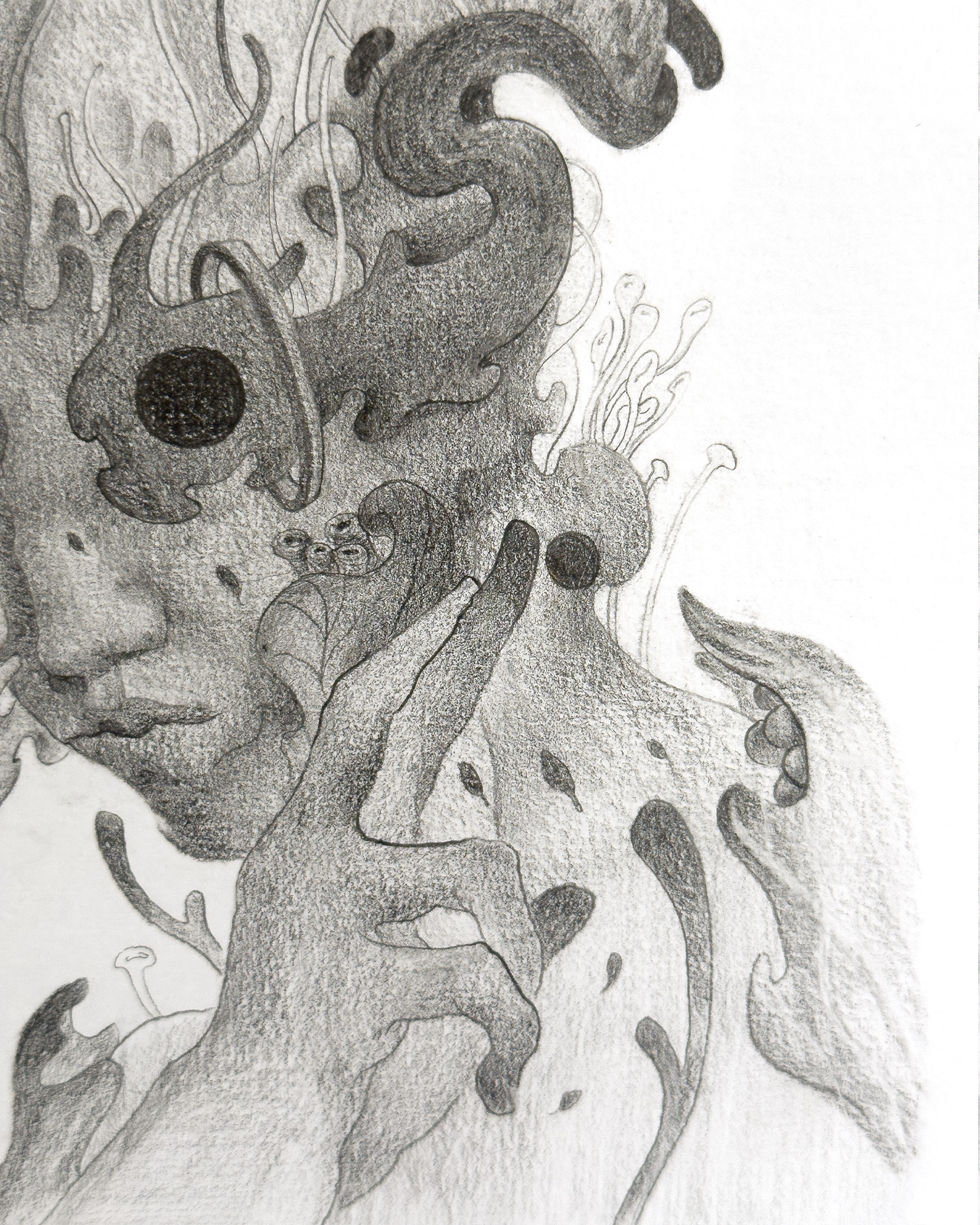 Cordyceps - Portrait II
