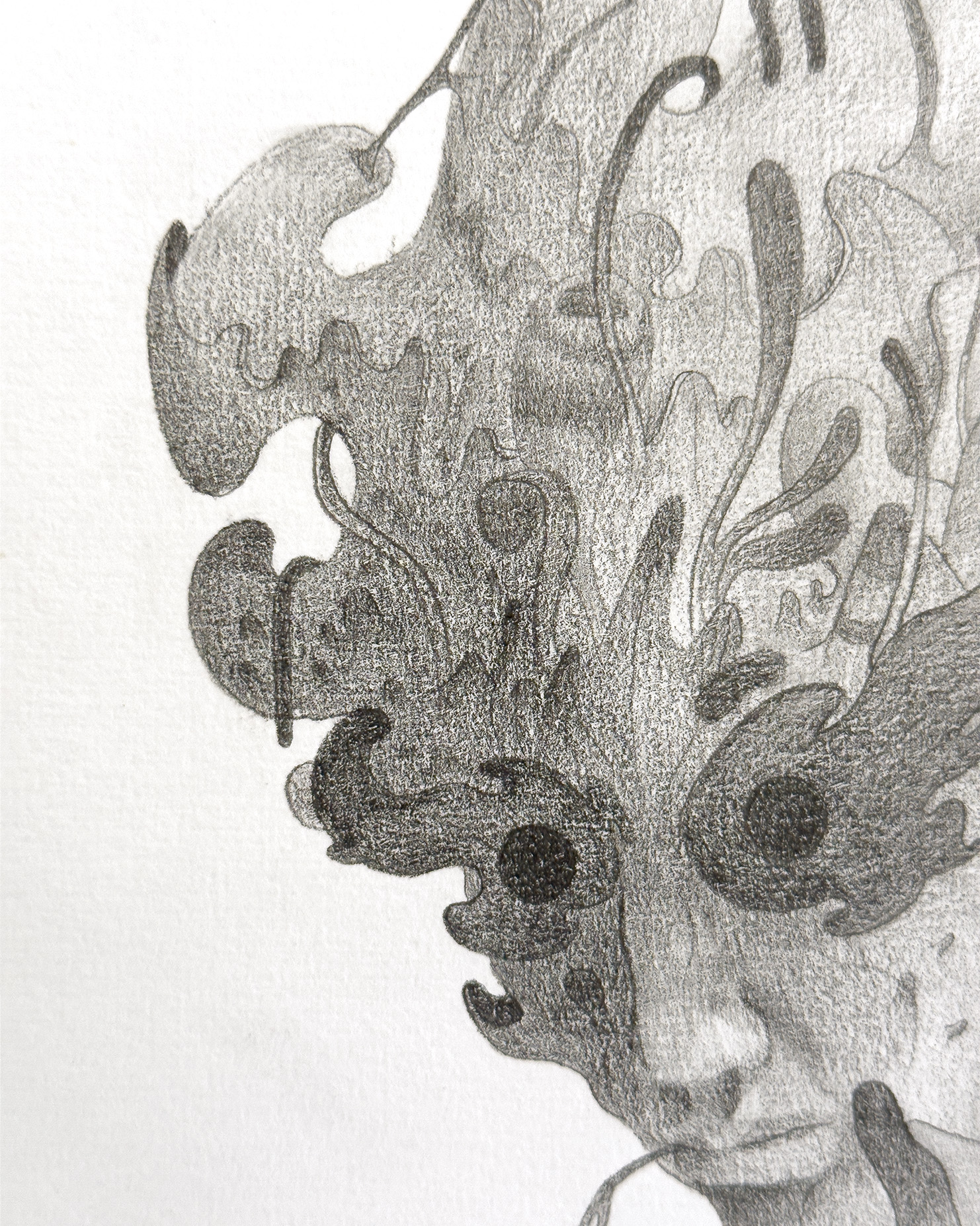 Cordyceps - Portrait II
