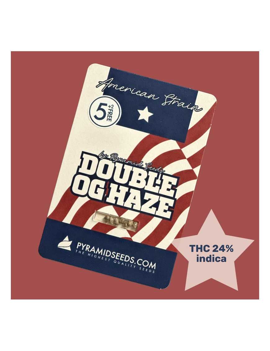 American Strains - Double OG Haze