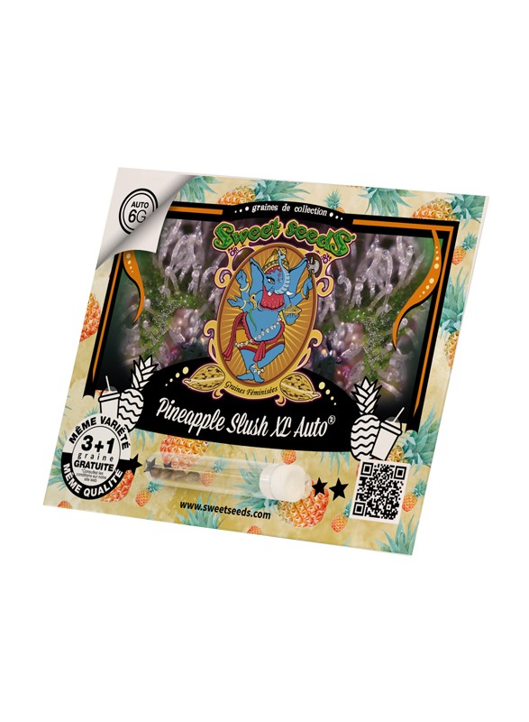 Sweet Seeds - Pineapple Slush XL Auto