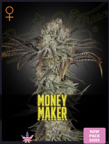Green House Seeds - Money Maker