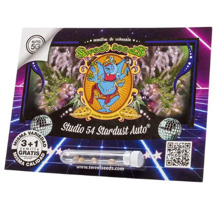 Sweet Seeds - Studio 54 Stardust Auto