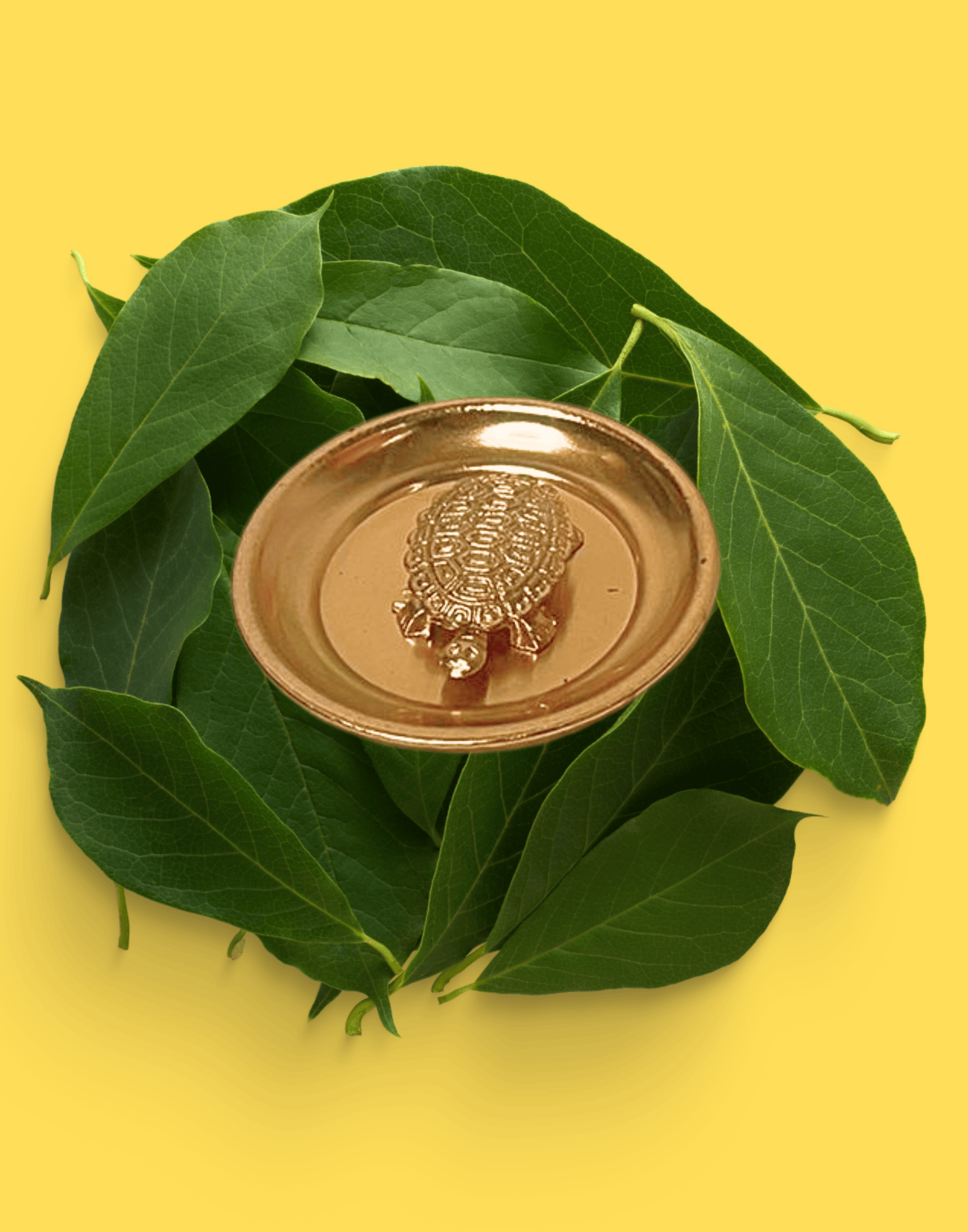 Golden Ichapurti Turtle