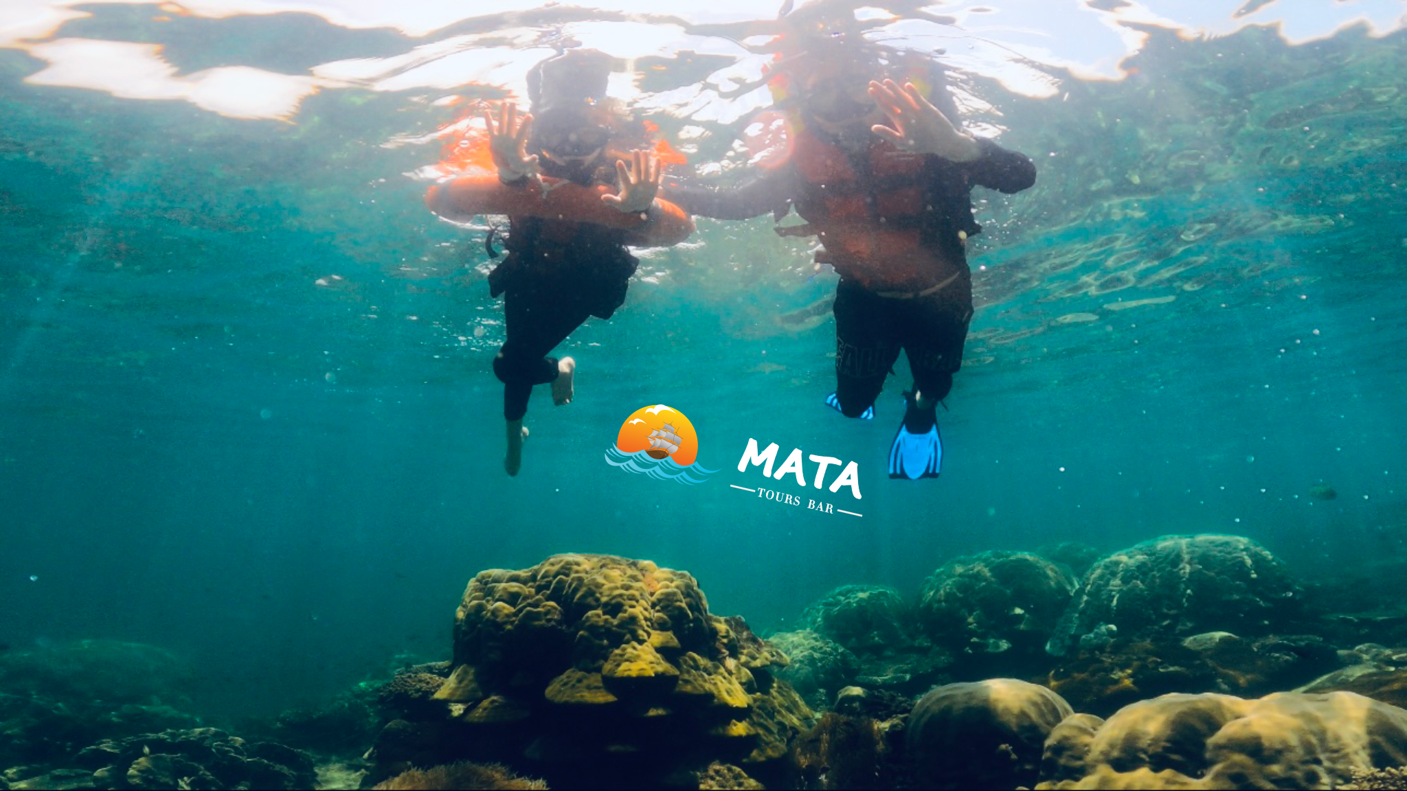 Tour ngắm san hô nhóm nhỏ  " từ 5 đến 8 khách"