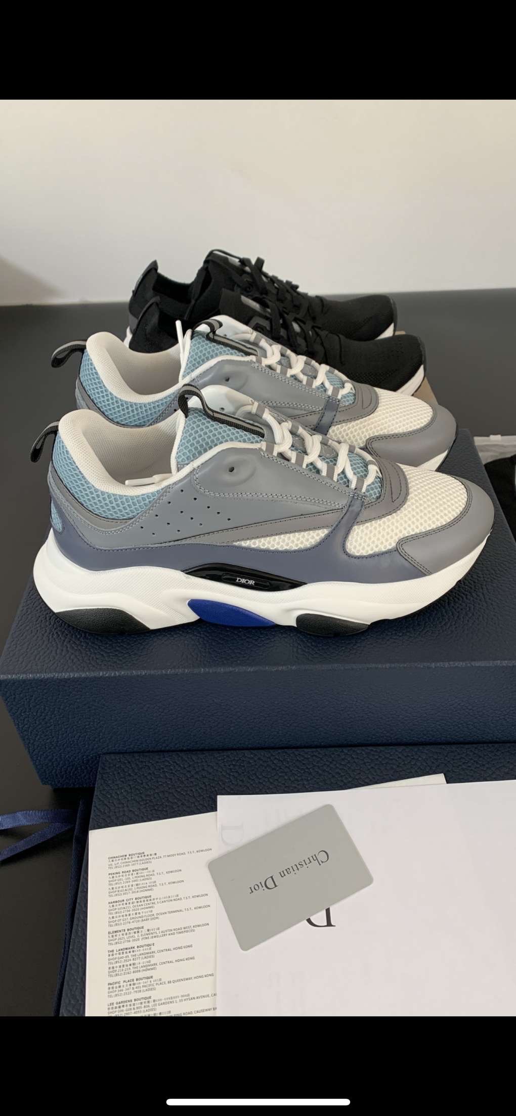 Dior B22 'White Blue'