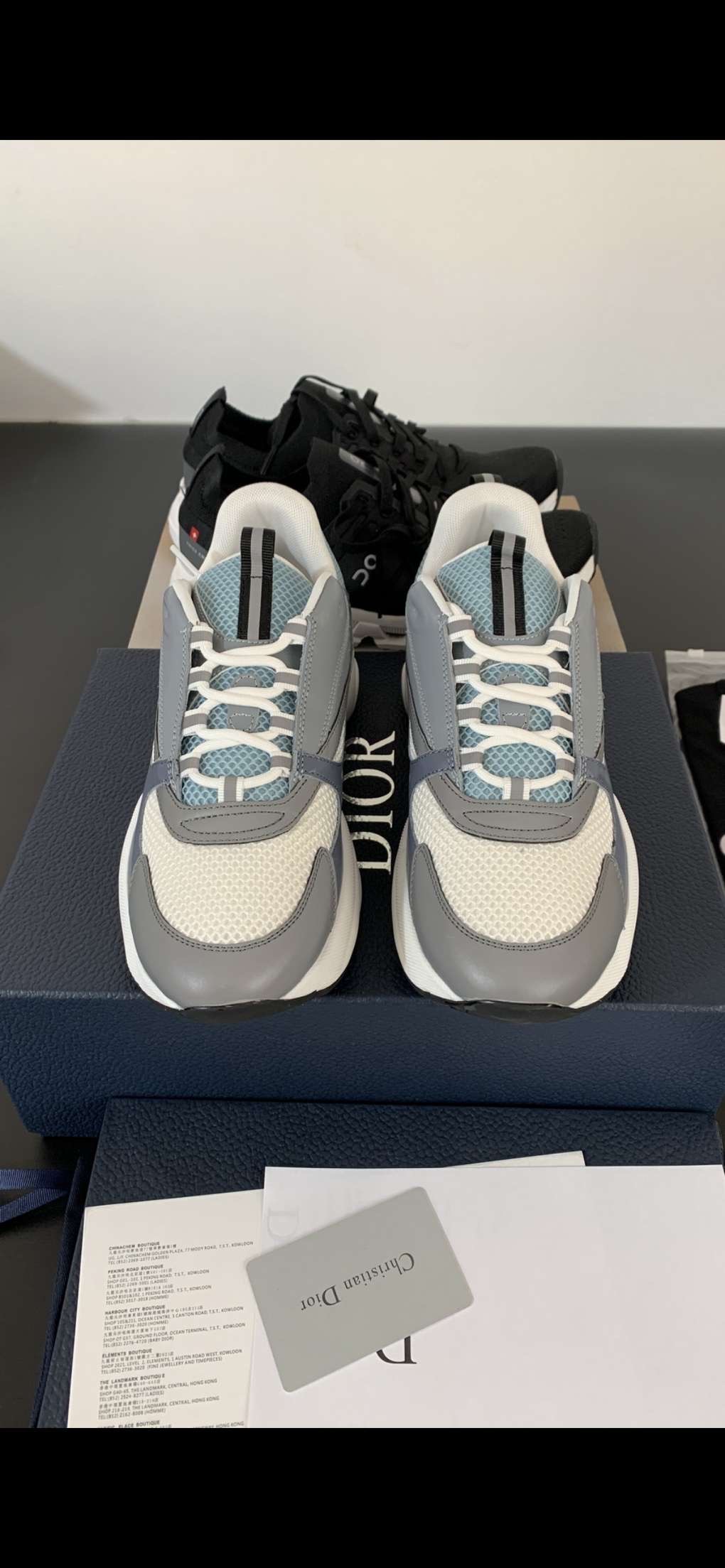 Dior B22 'White Blue'