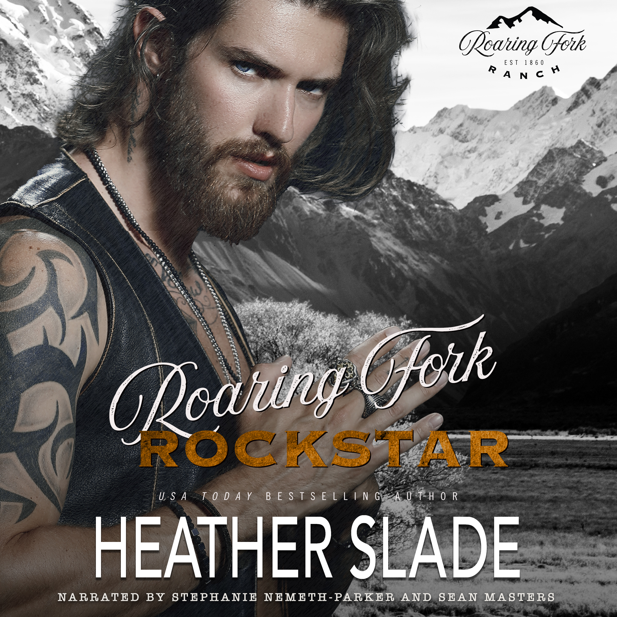 Roaring Fork Rockstar Audio