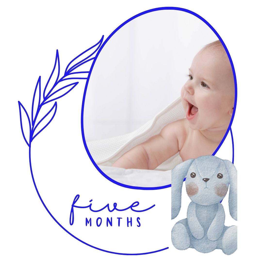 Milestone Baby Photo Collage