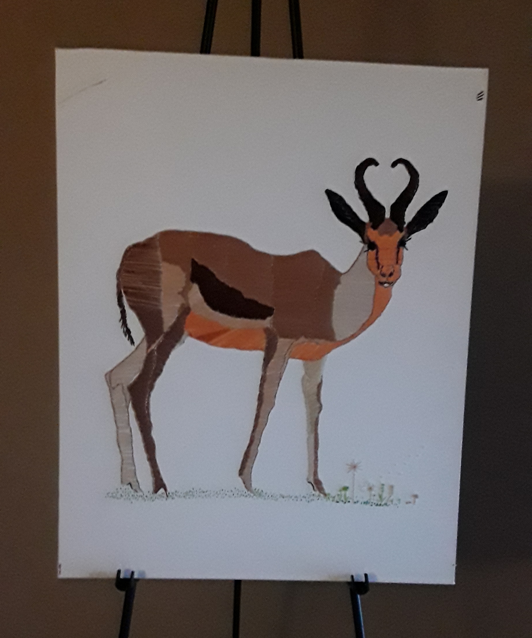 Antelope/Springbok on canvas - Wall art