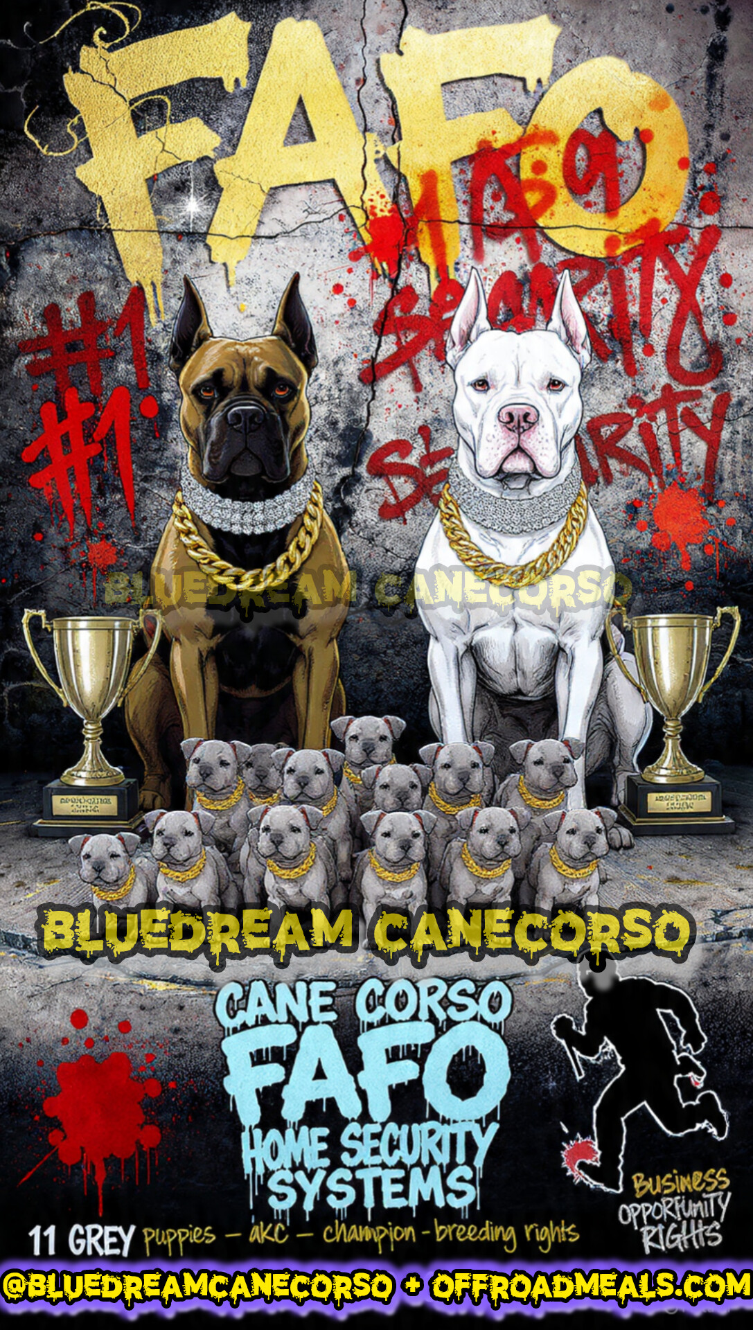 Stud Service Italian mastiff canecorso showdog 