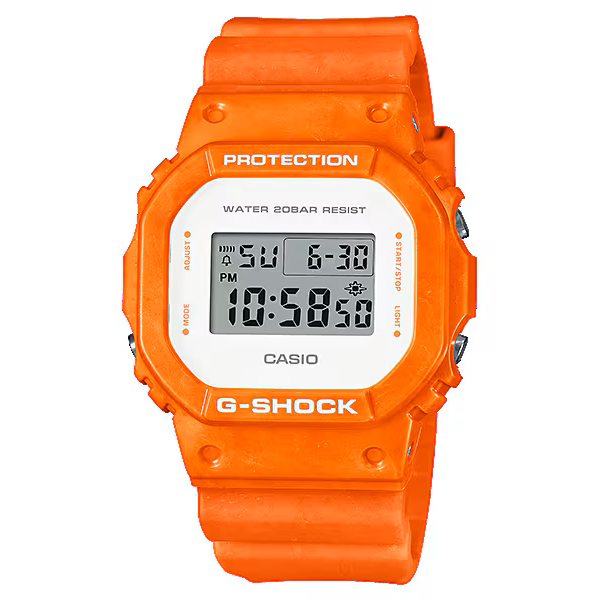 DW-5600WS-4DR G-SHOCK